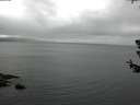 ./images/koeye/fitz-hugh/20180629/fitz-hugh20180629_164502.jpg