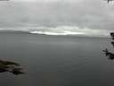 ./images/koeye/fitz-hugh/20180629/fitz-hugh20180629_170502.jpg
