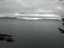 ./images/koeye/fitz-hugh/20180629/fitz-hugh20180629_171502.jpg