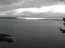 ./images/koeye/fitz-hugh/20180629/fitz-hugh20180629_174501.jpg
