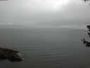 ./images/koeye/fitz-hugh/20180629/fitz-hugh20180629_184001.jpg