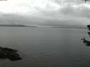 ./images/koeye/fitz-hugh/20180629/fitz-hugh20180629_223502.jpg