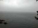 ./images/koeye/fitz-hugh/20180630/fitz-hugh20180630_045501.jpg
