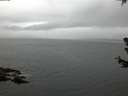 ./images/koeye/fitz-hugh/20180630/fitz-hugh20180630_050501.jpg