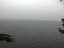 ./images/koeye/fitz-hugh/20180630/fitz-hugh20180630_052001.jpg