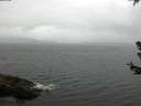 ./images/koeye/fitz-hugh/20180630/fitz-hugh20180630_064501.jpg