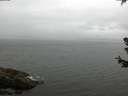 ./images/koeye/fitz-hugh/20180630/fitz-hugh20180630_065502.jpg
