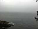 ./images/koeye/fitz-hugh/20180630/fitz-hugh20180630_071002.jpg