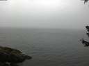 ./images/koeye/fitz-hugh/20180630/fitz-hugh20180630_072502.jpg