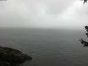 ./images/koeye/fitz-hugh/20180630/fitz-hugh20180630_075001.jpg