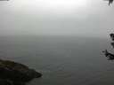 ./images/koeye/fitz-hugh/20180630/fitz-hugh20180630_075501.jpg