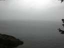 ./images/koeye/fitz-hugh/20180630/fitz-hugh20180630_080501.jpg