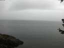 ./images/koeye/fitz-hugh/20180630/fitz-hugh20180630_081001.jpg