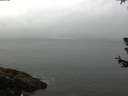 ./images/koeye/fitz-hugh/20180630/fitz-hugh20180630_090501.jpg