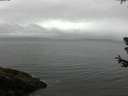 ./images/koeye/fitz-hugh/20180630/fitz-hugh20180630_101502.jpg