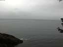 ./images/koeye/fitz-hugh/20180630/fitz-hugh20180630_102502.jpg