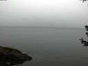 ./images/koeye/fitz-hugh/20180630/fitz-hugh20180630_103501.jpg