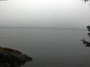 ./images/koeye/fitz-hugh/20180630/fitz-hugh20180630_104001.jpg