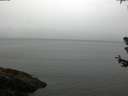 ./images/koeye/fitz-hugh/20180630/fitz-hugh20180630_104501.jpg