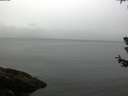 ./images/koeye/fitz-hugh/20180630/fitz-hugh20180630_105001.jpg