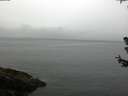./images/koeye/fitz-hugh/20180630/fitz-hugh20180630_105501.jpg