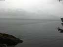 ./images/koeye/fitz-hugh/20180630/fitz-hugh20180630_111001.jpg