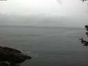 ./images/koeye/fitz-hugh/20180630/fitz-hugh20180630_111501.jpg