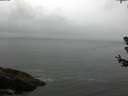 ./images/koeye/fitz-hugh/20180630/fitz-hugh20180630_112501.jpg