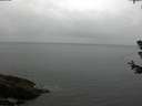 ./images/koeye/fitz-hugh/20180630/fitz-hugh20180630_113501.jpg
