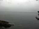 ./images/koeye/fitz-hugh/20180630/fitz-hugh20180630_114001.jpg