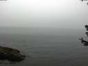 ./images/koeye/fitz-hugh/20180630/fitz-hugh20180630_115501.jpg