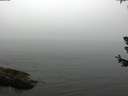 ./images/koeye/fitz-hugh/20180630/fitz-hugh20180630_120501.jpg