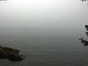 ./images/koeye/fitz-hugh/20180630/fitz-hugh20180630_121001.jpg