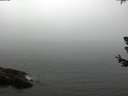 ./images/koeye/fitz-hugh/20180630/fitz-hugh20180630_121501.jpg