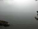 ./images/koeye/fitz-hugh/20180630/fitz-hugh20180630_122501.jpg