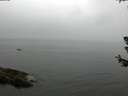 ./images/koeye/fitz-hugh/20180630/fitz-hugh20180630_123502.jpg