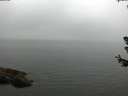 ./images/koeye/fitz-hugh/20180630/fitz-hugh20180630_124502.jpg