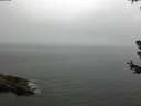 ./images/koeye/fitz-hugh/20180630/fitz-hugh20180630_125002.jpg