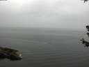./images/koeye/fitz-hugh/20180630/fitz-hugh20180630_125502.jpg