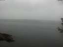 ./images/koeye/fitz-hugh/20180630/fitz-hugh20180630_130502.jpg