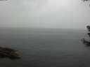 ./images/koeye/fitz-hugh/20180630/fitz-hugh20180630_131502.jpg
