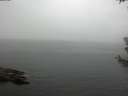 ./images/koeye/fitz-hugh/20180630/fitz-hugh20180630_132002.jpg