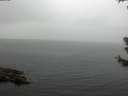 ./images/koeye/fitz-hugh/20180630/fitz-hugh20180630_132502.jpg