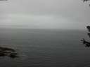 ./images/koeye/fitz-hugh/20180630/fitz-hugh20180630_135501.jpg