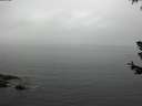 ./images/koeye/fitz-hugh/20180630/fitz-hugh20180630_141001.jpg