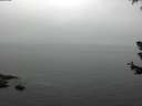 ./images/koeye/fitz-hugh/20180630/fitz-hugh20180630_141501.jpg
