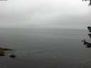 ./images/koeye/fitz-hugh/20180630/fitz-hugh20180630_142001.jpg