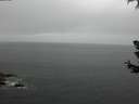 ./images/koeye/fitz-hugh/20180630/fitz-hugh20180630_144001.jpg