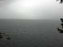 ./images/koeye/fitz-hugh/20180630/fitz-hugh20180630_154502.jpg