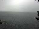 ./images/koeye/fitz-hugh/20180630/fitz-hugh20180630_155002.jpg